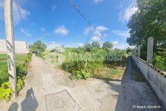 Chính chủ bán 995.6m2 đất phước hậu, cần giuộc, long an. thổ full, vị trí đẹp.