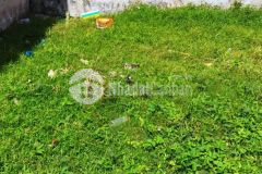 Bán 2 nền đất tại đức hòa long an 31.5m2nền, ccvb, chỉ 300trnền. lh0903101991