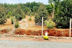 Đất ngộp bán lỗ 200tr,có sẵn vườn sầu riêng