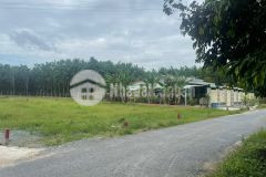 Mở bán 12 lô đất kdc xã thạnh đức,tx gò dầu,tp tây ninh. 4trm2.