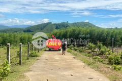 Bán đất khánh phú giá rẻ sát bên hương lộ 62