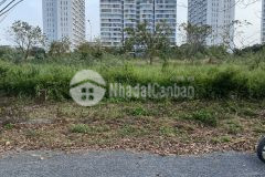 Bán đất cát lái quận 2 giá rẻ da phú gia đường nguyễn thị định 119m2 43 trm2