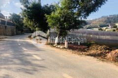 Đất biệt thự đa phú p7 tp. đà lạt view đẹp