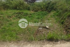 Ban gâp trong tuân 500m2 đương ô tô tai p5 đa lat chi 2 ty 6 tl manh