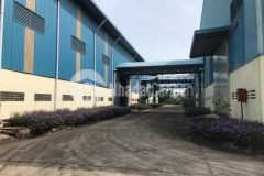 Cho thuê, hợp tác sản xuất hoặc bán nhà xưởng rộng 38000m2