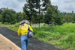 Cần tiền xây nhà nên bán gấp lô đất 5 50 mét thổ cư 200 m2 giá 395 triệu