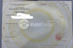 Cực rẻ 2 sổ đối diện bàu trắng, 403m2 full thổ cư, sát đường dt716, 1,6 tỷ trọn sổ