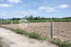 Bán đất diên đồng giá rẻ làm vườn gần sông chò