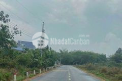 Bán đất có vườn sầu 3 đến 7 năm tuổi 1044m2 có điện 3 fa.