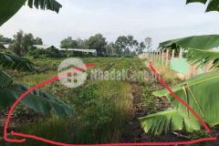 Kẹt ngân hàng bán gấp lô đất 1173m2, đường xe tải, gái 2,2 tỷ