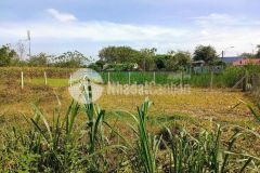 Cần bán lô đất 2mt 322m đường nhựa có thổ cư xã thái mỹ củ chi giá chỉ hơn 1 tỷ