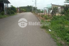 Cần bán vườn sầu riêng để về quê 2350 m2 giá 450 triệu