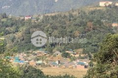 Bán đất sapa thôn sín chải vuông vắn,siêu đẹp