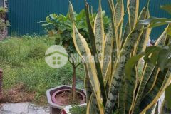 Đất mặt ngõ lô góc 3 thoáng 2 mặt tiền 40m ôtô tránh 52m2 3.7 tỷ minh khai lh 0332773182 dương