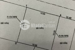 Bán đất an khánh đường trần não quận 2 giá rẻ dự án liksin 112,8m2 16.5 tỷ