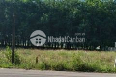 Bán nhanh lô đất mặt tiền đường nhựa, vĩnh hòa, phú giáo, bình dương