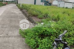 Bán nhanh 78m2 đất đấu giá đình dù văn lâm, chỉ 2.1 tỷ lh 0835459289