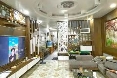 Giá hot nhà phố 4 lầu st kdc nam long trần trọng cung, quận 7