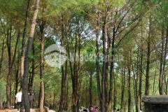 Cc gởi bán lô đất khu đô thị xanh bầu tràm.hoà hiệp nam.liên chiểu.đà nẵng