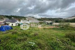 Bán đất trịnh hoài đức phường 11 đà lạt view thung lũng.
