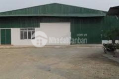 Kho, xưởng cho thuê tại kim thư. thanh oai. hà nội