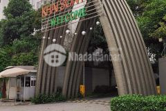 Lô đât vang ngoc thuy. dt40mmt5mhậugiachico5ty. đương lơn 10m via he 2 bên ha