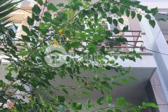 Gấp bán giảm 300 triệu nhà hẻm ô tô, nguyễn thiện thuật, bình thạnh, 3 tầng, nhỉnh 5 tỷ