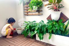 Chỉ nhỉnh 3 tỷ có ngay nhà tam trinh hoàng mai