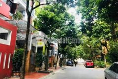 Lô đât đep bồ đề long biên. dt45mmt4 hậu giachico425ty rât gân hồ lâm du