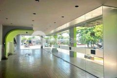 Cho thuê nhà 3,5 tầng 2 mặt tiền gần lý tự trọng