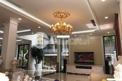 Bán biệt thự sân vườn siêu đẹp phố đại từ diện tích 110m2 4 tầng mặt tiền 7m 9 tỷ.