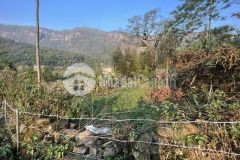 Mảnh đất 2 mặt tiền thuộc thôn ngải trồ trung tâm y tý bát xát lào cai