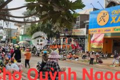 Đất quỳnh ngọc gần trường học phạm văn đồng