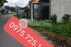 Tôi cần bán gấp lô đất 150 m2 giá 350 triệu