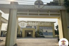 Bán đất 79,6m2 mt 4,5m lô góc lực canh xuân canh đông anh đường thông ô tô nhỉnh 3,9 tỷ lh 03720261