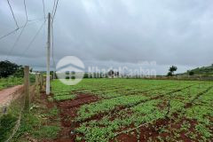 Bán đất tại đạ ròn, đơn dương, lâm đồng