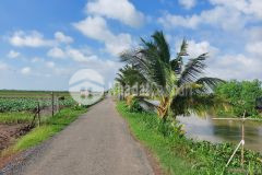 Bán 2000m2 đất giá chỉ 750 triệu đất rẻ gần biển rạch bùn, gò công đông, tiền giang