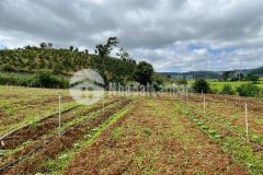 Đất nghỉ dưỡng giá rẻ 3850m giá chỉ 2 tỷ có view tháp kinh luân lớn nhất thế giới