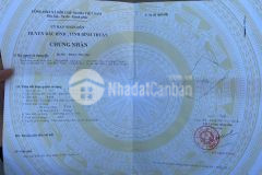 8sào đất cln 3 mặt tiền đường sát ql1a ngay kdc tặng ngay 2 chỉ vàng lấy lộc