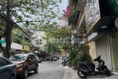 Bán nhà riêng phân lô lê thanh nghị quận hai bà trưng 115m nhỉnh 19 tỷ. có thương lượng.