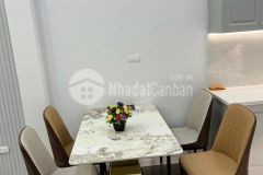 Giá nào cũng bán nhà đẹp ngõ 444 đội cấn, giá 6.6 tỷ, 45m2x5t, ở luôn