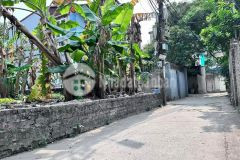 B.a.n đất đẹp tổ thái bình phường mai lâm quận đông anh tp hà nội