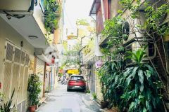 Nhà siêu hiếm tại nguyễn trãi thanh xuân ba bước ra phố, nhà đẹp ở ngay