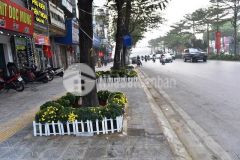 Mảnh đất cực đẹp mặt phố nguyễn đình hoàn 73m2 x mt 5,6m giá quá sốc