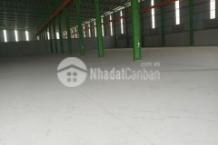 Cho thuê nhà xưởng 3000m tại ccn nguyên khê. đông anh. h.n