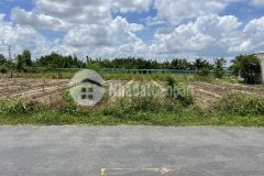 Bán nửa công đất thổ, vườn mặt tiền nhựa hl07 tân thành, gò công đông, tiền giang