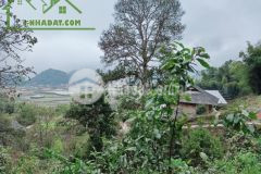 Bán đất tả phìn, sapa, lào cai