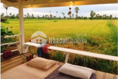 Bán nhanh lô 2145m2 view đồng lúa tuyệt đẹp tại hòa phong giá 550 triệu