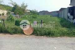 Cần bán lô đất 125m2 tại tân thông hội củ chi giá chỉ 820 triệu gọi ngay