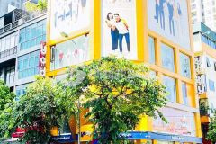 Bán nhà mặt phố nguyễn trường tộ 21 tỷ 50m2, 5t, mt11m lô góc hiếm có ba đình